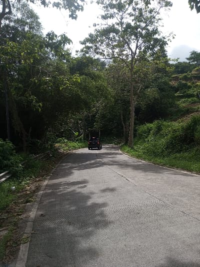 A black vehicle travels along a winding gray road lined with lush greenery. Dense trees form a canopy overhead, casting shadows on the road's textured surface. The roadside features a mix of trees, bushes, and grassy slopes. Sunlight filters through the trees, creating a dappled effect on the pavement. The scene evokes a sense of travel and nature.