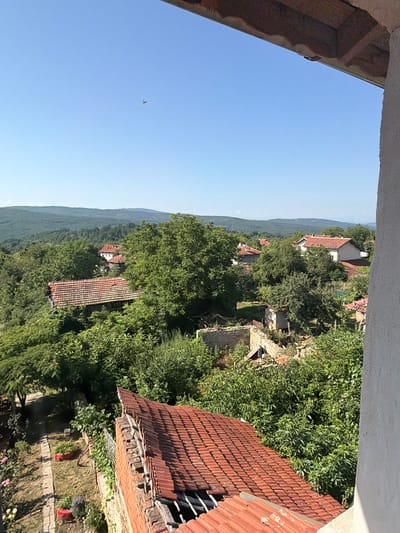 The image captures a scenic view of a rural village nestled among rolling hills covered in lush greenery. The perspective is from a high vantage point, possibly a balcony or rooftop, looking down and across the landscape. The sky is a clear, bright blue, suggesting fair weather and a daytime setting, likely mid-morning or afternoon.
The scene is characterized by traditional architecture, with several houses visible, most featuring distinctive red-tiled roofs. Some of these structures appear well-maintained, while others show signs of age or disrepair, with crumbling walls and damaged roofs, hinting at a community that might be experiencing decline or economic hardship. The houses are interspersed with dense trees and vegetation, creating a harmonious blend of human settlement and nature. A narrow, winding path is visible in the foreground, paved with stones, leading into the village. There are also hints of a garden with some red potted plants and flowers. A single, small bird is seen flying in the distant blue sky. The overall impression is one of tranquil, rustic beauty, but with an underlying sense of abandonment or decay in some parts of the village. There is no visible text in the image.