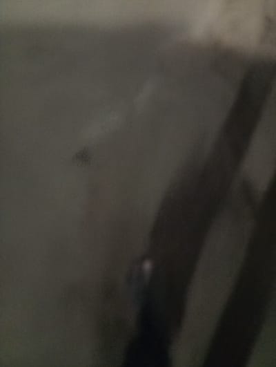 The image presents a dimly lit, mostly gray scene. Two dark, blurred vertical lines are visible on the right side, potentially shadows. A smaller, blurry dark spot appears on the upper left, accompanied by indistinct, faded marks around it. The overall impression is of a dark, indistinct environment with unclear shapes and forms.