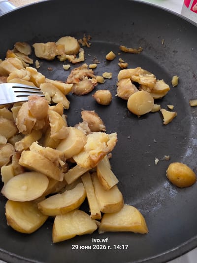 A close-up, overhead shot shows a black frying pan filled with roughly chopped, golden-brown fried potatoes. A silver fork is partially submerged in the potatoes on the left side of the pan. The potatoes vary in size and shape, with some appearing round and whole, while others are irregular chunks. Some pieces have crisp, browned edges, indicating they have been fried. The pan's surface appears slightly oily. The background is blurred, but suggests an indoor setting with hints of light colors. A timestamp "ivo.wf 29 юни 2026 г. 14:17" is superimposed in the bottom right corner, indicating the image was taken on June 29, 2026, at 2:17 PM. There is no discernible information about the city of Chal, Bulgaria.