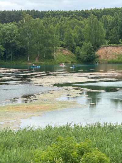 The image depicts a serene lake scene in Grudtsino, Russia, on an overcast day. The lake's surface is partially covered with patches of green and yellow aquatic vegetation. Several individuals are engaged in recreational activities on the water. In the foreground, lush green grass and foliage line the edge of the lake. Further back, a dense forest of green trees forms a backdrop, with a section of a sandy, eroded embankment visible on the right side of the frame. The sky is cloudy and gray.
Specifically, there are at least four groups of people on the water:
- A two-person canoe with two individuals.
- A paddleboard with one individual.
- Another paddleboard with one individual.
- A red object, possibly another watercraft, is partially visible in the far distance on the right.