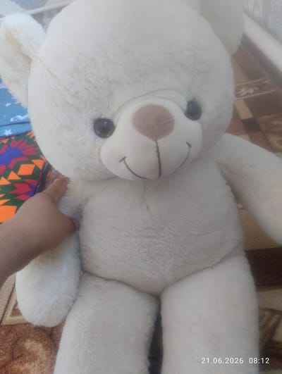 An indoor, eye-level, close-up shot focuses on a large, cream-colored teddy bear positioned in the city of Tash-Komur City, Kyrgyzstan. The bear is the primary subject, appearing to be sitting or lying down, with its head slightly tilted. A human hand is visible on the left side of the image, gently touching the bear's chest. The background is softly blurred, revealing a patterned rug on the floor and a hint of a white vertical object, possibly a radiator or furniture. The lighting appears to be natural or diffused indoor light. A timestamp in the lower right corner reads "21.06.2026 08:12".