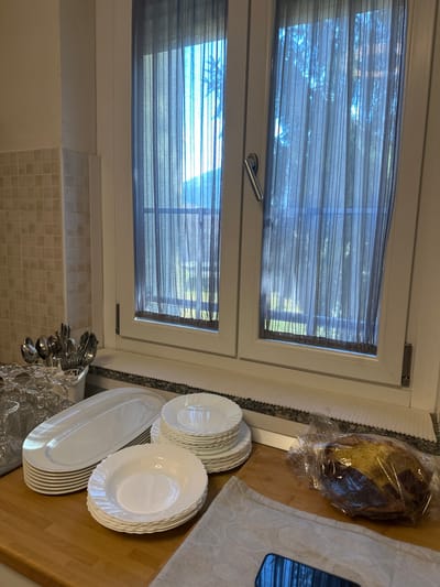 The image captures an indoor kitchen scene, focusing on a window and a countertop. A white-framed window with two panes dominates the left side of the frame. Each pane is covered by a sheer, dark grey blind or curtain with horizontal stripes, allowing diffuse light and glimpses of green foliage outside, suggesting a bright, sunny daytime. A silver-colored window handle is visible on the upper pane.
On the right side of the image, a light wooden countertop holds various items. Multiple stacks of white dinner plates, white bowls, and a large oval white serving platter are neatly arranged. These dishes feature a subtle textured or fluted rim. Adjacent to the plates, a clear, possibly crystal, container holds an assortment of silver-colored cutlery, including spoons and forks. A loaf of dark bread, encased in clear plastic packaging, rests on a light-colored, patterned fabric cloth or towel. A dark-colored smartphone, reflecting light, is partially visible near the bread. Below the window, a light-colored tiled backsplash adds texture to the wall. No people are visible, and no specific activity is actively occurring, though the setup of dishes and bread implies preparation for a meal or gathering. There is no visible text.
