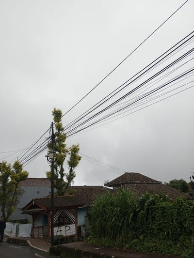 This image depicts a street scene in Ambakirano, Madagascar, under an overcast sky. Numerous black utility wires, comprising multiple parallel strands, traverse the upper and middle sections of the frame diagonally from the upper left to the right. These wires are supported by a dark grey utility pole positioned centrally on the left side of the image. The pole has a light-colored electrical box mounted on it and is flanked by trees with sparse, light green foliage.
Below the utility pole, on the left, a small, single-story structure with a reddish-brown corrugated roof is visible. Its facade features white lattice work and a light blue wall. White graffiti spelling "AP" is present on a darker surface below the lattice. Adjacent to this structure, to its left, white items, possibly laundry, are draped over a low barrier. A larger building with a reddish-brown tiled roof and light-colored walls is partially visible behind the smaller structure.
On the far left of the frame, a lone male figure, dressed in dark clothing, walks on a dark grey paved surface, his back partially turned to the viewer. A raised concrete curb separates the paved surface from the buildings and vegetation.
To the right of the utility pole and the small structure, dense green vegetation, including tall grass and bushes, occupies the foreground and midground, partially obscuring the buildings behind it. Beyond this vegetation, a building with a multi-tiered, reddish-brown tiled roof, possibly octagonal, is prominent. Another similar tiled roof is visible further back on the right. The overall environment appears semi-urban or rural.