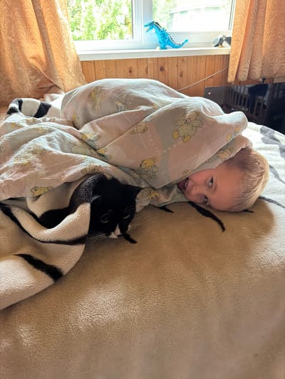 A blond-haired child peeks out from under a blanket patterned with yellow teddy bears on a bed. Next to the child, a black and white cat is also partially covered by the same blanket. The bed is covered with a tan blanket. Behind the bed, there is a window with orange curtains. On the windowsill, there are two toy dinosaurs and a toy penguin. The room has wood-paneled walls. The scene appears to be indoors, likely a bedroom. The location is described as "Папярнянскі сельскі Савет, Belarus," which is a rural administrative unit, suggesting the setting is likely a home in a rural area of Belarus.