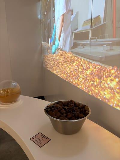 This image depicts an indoor scene, likely part of a chocolate or food exhibition in Illkirch-Graffenstaden, France. On a large screen or wall projection, the lower torso and arms of a person in a white lab coat and blue gloves are visible. They appear to be interacting with or processing a wide conveyor belt or surface covered with a multitude of small, shiny, golden-brown items, which could be roasted cocoa beans or caramelized nuts, suggesting a food production process.
In the foreground, on a white countertop, there is a silver-colored bowl filled with numerous dark, heart-shaped or irregularly shaped chocolate pralines. A pair of metal tongs rests inside the bowl, indicating that these chocolates are available for sampling. To the left of the bowl, a small, clear spherical container with a wooden base holds a light-brown, granular substance, possibly another type of food sample or ingredient.
An informational sign is placed on the countertop next to the chocolate bowl. It reads "SHANGHAI PRALINÉ LAIT" (Shanghai Praline Milk). Below this, with national flags, key ingredients are listed in multiple languages:
* French flag: "AMANDES CARAMÉLISÉES"
* English flag: "CARAMELIZED ALMONDS"
* German flag: "KARAMELISIERTE MANDELN"
The scene combines visual information about a food product's creation with the opportunity for direct tasting.