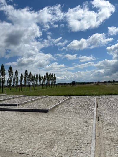 The image shows a paved area in the foreground, with rows of granite cobblestones. Several raised, rectangular beds with stone borders are visible in the foreground. Behind these beds, a line of tall, slender trees stands in a grassy field. In the distance, a wooden watchtower and fence line can be seen, along with scattered buildings. The sky is bright blue with fluffy white clouds. This scene is located in Brzezinka, Poland, at the Auschwitz-Birkenau Memorial and Museum.