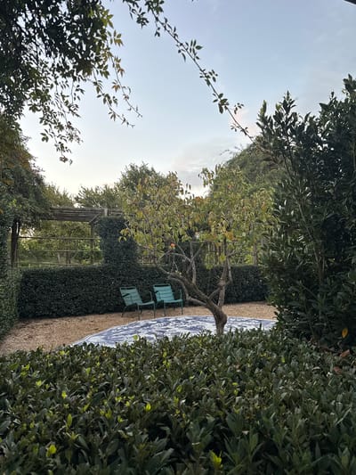This image, when viewed upright, depicts a serene outdoor garden scene, likely situated in Drakenstein Nu, South Africa. The central focus is a gravel path or seating area flanked by tall, dense green hedges, creating a secluded ambiance.

In the mid-ground, a distinctive fruit tree with a gnarled trunk and branches is prominent, bearing numerous green leaves and small, round, orange-toned fruits, possibly quinces or pomegranates. On the light-colored gravel ground, a large, rectangular rug adorned with an intricate blue and white pattern is spread out. Two slatted, turquoise-colored metal chairs are placed upon the rug, arranged as a tranquil seating area.

Towards the background, a wooden pergola structure, partially enveloped by climbing greenery, is visible, adding to the garden's architectural elements. The sky above is bright with soft, scattered clouds, suggesting the gentle light of either early morning or late afternoon. The overall vegetation is lush and well-maintained, highlighting a cultivated and private natural setting. No people or visible text are present in the frame, contributing to a peaceful and inviting atmosphere.