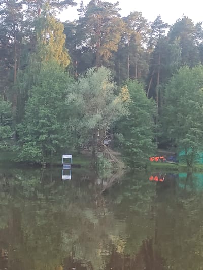 The image depicts a tranquil waterfront scene in Kratovo, Russia. A calm, dark green-brown body of water occupies the foreground, exhibiting clear reflections of the adjacent elements. On the left side of the bank, a white and blue rectangular sign, partially submerged, stands upright at the water's edge; its upper section displays indistinct Cyrillic text, and a distinct inverted reflection is visible on the water's surface. To the right, a cluster of approximately three to four orange life vests is arranged on the shoreline, also mirrored in the water. A lighter-colored, multi-branched tree, possibly a willow, leans towards the water near the center-right of the image. The background is dominated by a dense, verdant forest composed of tall coniferous and deciduous trees, extending across the entire horizon under a pale, diffused sky. No individuals or specific actions are discernible within the frame.