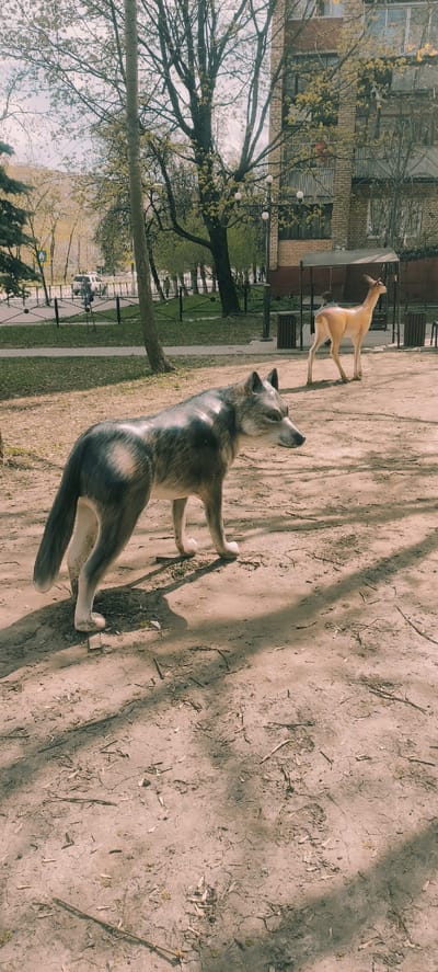 The image, likely taken in Fryazino, Russia, depicts two animal statues. The first, closer to the viewer, is a grey and white wolf statue, positioned in a standing posture with its head tilted upwards. Further away, a tan deer statue is located near a multi-story brick building with trees and greenery in the background. The scene is set on a dirt or sandy area, possibly a park or public space. The time of the year appears to be spring, based on the budding trees.