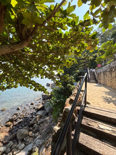The image captures a coastal scene in Kamala, Thailand. A tree with green leaves dominates the left foreground, while a set of stairs with a black metal handrail ascends along a stone wall on the right. Below the stairs is a rocky shoreline where the ocean meets the land. The water is calm and reflects the sky. Further up the stairs, the path leads to a sandy area before continuing.