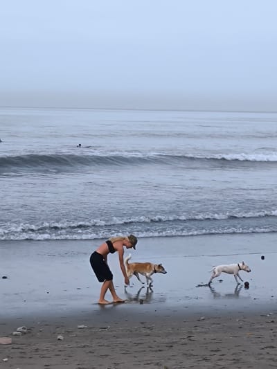 The image depicts a woman standing on a beach interacting with two dogs. The woman is wearing a black sports bra, dark shorts, and a baseball cap. She is bending over, seemingly playing with or interacting with a light brown dog with a dark muzzle. A second dog, white in color with a black collar, is running to the right, and a dark object (possibly a ball) is near it. The beach is dark sand, and there are small pieces of debris scattered in the foreground. The ocean stretches out behind them, with gentle waves rolling in. In the background, the sky is overcast, and there appear to be two surfers in the water. The location is Tibubeneng, Indonesia, based on common imagery associated with the area.