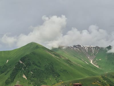 This image depicts a panoramic view of a mountain landscape in Gudauri, Georgia, under a cloudy sky. The foreground features rolling green hills dotted with scattered yellow wildflowers and two small, reddish-brown structures with peaked roofs, possibly part of a rural settlement or tourist facility. The midground is dominated by a large, verdant mountain slope with visible erosion lines and patches of trees. Further in the background, a majestic mountain peak rises, partially covered in snow and shrouded in mist. The overall scene conveys a sense of natural beauty and the rugged terrain of the Caucasus Mountains.