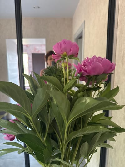 A close-up, eye-level shot showcases a bouquet of vibrant pink peonies, their lush petals and green leaves filling the foreground. The blooms are the primary subject, with several fully open and others in bud. Behind the flowers, a mirror reflects a woman's upper body and head, suggesting she is the one holding or arranging the bouquet. She is looking down at the flowers, and her face is partially obscured by the bouquet. The background of the reflection reveals an indoor setting with neutral-toned walls and a doorway. The overall scene is softly lit, highlighting the texture and color of the peonies.