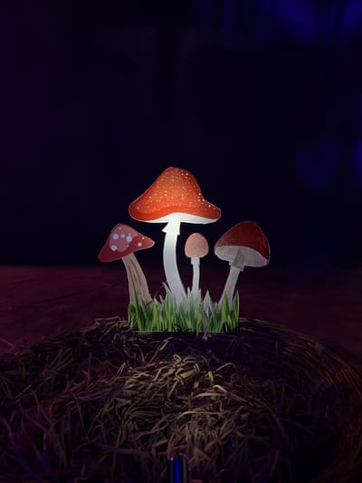 The image displays an artificial, dimly lit scene featuring several cut-out or crafted mushrooms arranged with artificial grass and a woven structure. The central subjects are four mushrooms, resembling the Amanita muscaria species, characterized by their prominent red caps and white spots. The largest mushroom is on the left, with two smaller ones positioned centrally and a fourth, small, triangular-capped mushroom visible towards the bottom. Their stems are white, and the caps have a slightly glittery or textured finish, suggesting they are props, possibly made of paper or a similar material.
These mushrooms appear to be "growing" out of a patch of bright green, artificial grass that is sharply defined, as if cut from paper or plastic. This entire arrangement is situated within or next to a dark, intricately woven structure, possibly a large basket or a section of a fence made from dried hay or reeds, which dominates the right side of the frame. The background is predominantly dark, with a subtle blue ambient light visible in the upper left corner and a reddish-purple hue towards the bottom right, suggesting an indoor setting with theatrical lighting. No human activity or specific event is depicted; rather, it appears to be a staged display or part of an art installation. There is no visible text in the image. The overall impression is whimsical and mystical, evoking a fairy-tale or enchanted forest aesthetic.