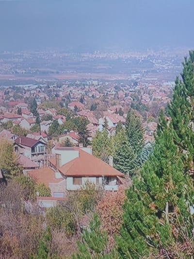 The image displays a panoramic view of the city of Markovo, Bulgaria, from an elevated vantage point. In the foreground, the tops of several evergreen trees, with their lush green foliage, partially obscure the scene. Beyond the trees, a dense residential area unfolds, characterized by a multitude of houses with terracotta-tiled roofs. The architecture appears to be primarily residential, with varied building designs and sizes. Some houses are closer to the viewer, revealing more detail of their structures, while others recede into the background, forming a continuous urban tapestry.

The mid-ground and background reveal a sprawling cityscape that extends towards the horizon. The density of buildings suggests a significant urban or suburban development. The distant view is softened by atmospheric haze, creating a muted color palette and a sense of depth. The sky above is a pale, hazy blue, contributing to the overall impression of a bright but slightly obscured day. The scene is devoid of any visible human presence or overt activity, presenting a static snapshot of the urban landscape. The overall impression is one of a calm, residential area nestled within a larger urban expanse.