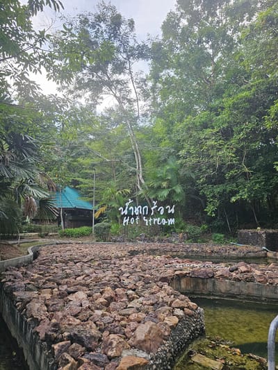 This is a full shot, outdoor, eye-level, eye-level perspective of a natural hot spring area in Tambon Khlong Thom Nuea, Thailand. The scene is dominated by lush green foliage and trees, creating a dense forest canopy. In the mid-ground, a building with a teal-colored roof is visible, nestled amongst the trees. In front of the building, a sign with white text in Thai script and English reads "Hot Stream." The foreground is occupied by a series of man-made pools or channels, lined with concrete walls and filled with numerous large, reddish-brown rocks. The water in these channels appears murky and green. The sky above is overcast. There are no people visible in the frame.