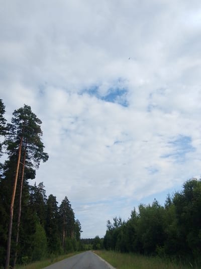 This image depicts a rural road curving through a dense forest on a cloudy day. Tall pine trees line the left side of the road, with their trunks visible in the foreground. The road itself is asphalt and extends into the distance, bordered by green grass and foliage. The sky is filled with a mix of white and gray clouds, with patches of blue sky peeking through. A small bird is visible in flight against the sky in the upper portion of the image. The scene appears to be located in or near Staryi Pokrov, Russia, given the context of the query. There are no people or animals visible in the image, and no active events are taking place. The environment is natural and undisturbed.
