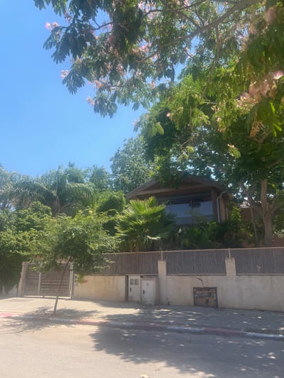 A residential scene in Hadera, Israel, features a wooden house with large windows nestled behind a bamboo fence. Lush green trees and palm trees surround the property, with a flowering tree in the foreground casting dappled shadows on the paved sidewalk and street. A wooden gate leads into the property, and utility boxes are visible along the wall. The sky is clear and blue.
