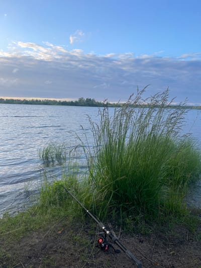 An outdoor scene captures a tranquil waterscape with fishing gear positioned in the foreground. The image depicts a serene lake or river on a slightly overcast day. Tall, green grasses and reeds grow along the bank, some of which are partially submerged in the water. In the lower right portion of the frame, a fishing rod with a reel is laid out on the ground, suggesting the activity of fishing. The water exhibits gentle ripples, reflecting the soft light of the sky, which is a mix of blue and pale clouds. The background shows a distant treeline across the water. The location is identified as Ozerki, Russia. No individuals are visible in the image.