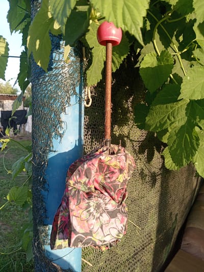 A closed, colorful umbrella with a floral pattern is hanging on a rusty pole. The umbrella has a pink, rounded cap on top of its handle. The pole is blue and partially covered by a torn green mesh fence. Lush green leaves from a vine are visible in the foreground, some casting shadows on the fence. In the background, laundry is hanging on a clothesline in front of a building. The scene appears to be outdoors, possibly in a yard or garden, with sunlight indicating it is daytime. The overall impression is one of a somewhat neglected outdoor space, with functional items like the umbrella and clothesline adding to the scene. The location is identified as Rakhinka, Russia. There is no visible text in the image.