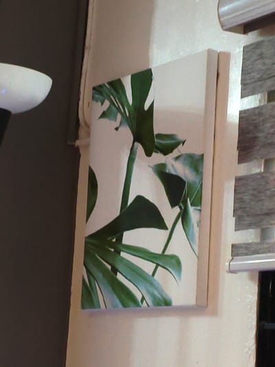 The image shows a framed canvas print of monstera leaves hanging on a pale wall. To the left, a portion of a white, dome-shaped lamp is visible. To the right, a window with blinds is partially in frame. The scene appears to be indoors. No specific location in Cavite City, Philippines can be identified from the image.