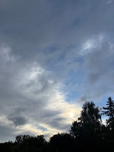 The image shows a view of the sky and treetops at dusk. The sky is filled with a mix of dark, ominous clouds and lighter, wispy clouds, with patches of blue visible. The sun is partially obscured by clouds and trees, casting a soft glow. The trees at the bottom of the frame are silhouetted against the sky, with their dark foliage creating a stark contrast. The scene appears to be in a natural or semi-natural setting, possibly on the outskirts of a city. Based on the context provided, this scene is located in the city of Strășeni, Moldova. There are no people or specific actions depicted in the image.