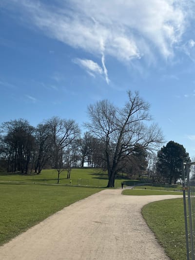 The image shows a dirt path winding through a green, grassy park in Köln, Germany. It is located at the coordinates 50.934 latitude and 6.926 longitude,  a location that is likely within the city's extensive parkland. Bare-branched trees line the edge of the path, their silhouettes against the clear blue sky dotted with white clouds. There is a single person in the distance, walking towards the left side of the frame.  The perspective is from a slightly elevated position, looking down the path towards the horizon. The scene suggests a peaceful and tranquil setting.