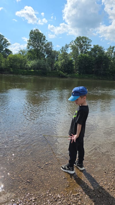 A young boy wearing a blue baseball cap, a black t-shirt with a green graphic, black pants, and sneakers stands at the edge of a shallow river in an outdoor environment. He is holding a thin stick, angled towards the water, and looking down at it. The riverbed is visible through the clear, shallow water, composed of small pebbles and rocks. Lush green trees and foliage line the opposite bank of the river, under a bright blue sky with scattered white clouds. The scene appears to be a natural setting, possibly a park or a natural area, not within a specific urban city location.