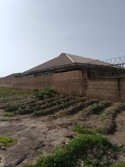 The image depicts a scene in Barikin Gidar Kanat, Nigeria, featuring a modest brick house with a corrugated metal roof, enclosed by a tall brick wall topped with razor wire. In front of the wall, a field of young crops, likely vegetables, is planted in neat rows across tilled soil. The ground in the foreground is a mix of rocky terrain and soil, with some patches of green grass. The sky is clear and pale blue, suggesting a bright, possibly warm, day. There are no people visible in the frame.