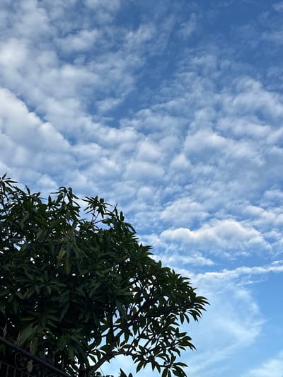 The image shows a view of the sky in Tibubeneng, Indonesia, with scattered cumulus clouds against a blue backdrop. In the lower right of the frame, the foliage of a tree is visible, partially obscuring the sky. A dark, wrought-iron fence runs along the bottom edge of the frame, behind the tree.