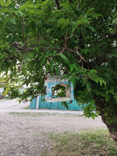 A weathered, blue and white bird feeder hangs from a branch of a leafy tree. The feeder has a decorative, gabled roof with red trim, and an open, arch-shaped entrance. Below the feeder, a turquoise wooden fence runs horizontally across the frame. The background shows a dirt road with some grass and gravel on the side. In the distance, houses with pitched roofs can be seen. The image is taken from a low angle, looking up into the tree canopy. The lighting suggests it is daytime, possibly overcast due to the diffused light. The scene appears to be in a rural or semi-rural setting in Askiz, Russia. There are no people visible and no text is present in the image. The overall impression is one of a quiet, lived-in environment.