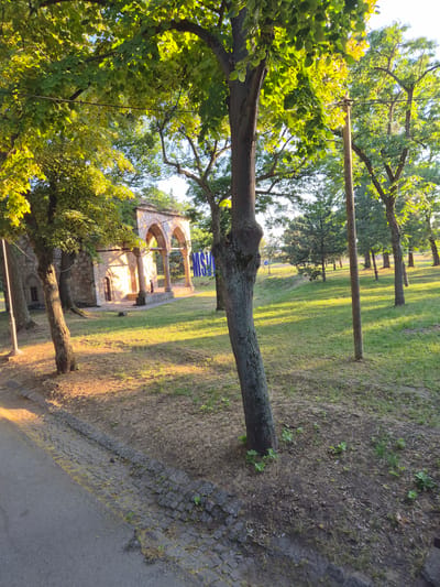 The image depicts a park area in the city of Niš, specifically within the Gradska opština Crveni Krst, Serbia. The scene is bathed in the warm glow of what appears to be late afternoon or early morning sunlight, casting long shadows across a grassy area.

In the background, a stone building with arched openings and a tiled roof is visible. In front of this structure, a person, appearing as a silhouette, is standing. Adjacent to the building, a large blue sign with white lettering is partially obscured by trees.

The foreground is dominated by a paved walkway or road on the left, bordered by a cobblestone edge. The ground transitions to bare earth and then to a well-maintained lawn dotted with trees. Several trees are present throughout the scene, with lush green foliage in the upper portions of the image and rough bark on their trunks. One tree in the immediate foreground has a distinct, gnarled trunk. A wooden utility pole stands in the middle ground. The overall impression is one of a peaceful, natural setting within an urban environment.
