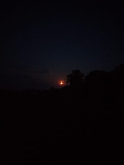 An image shows a dark sky with a faint orange glow in the distance, possibly a sunset or moonrise. Silhouetted trees and foliage form a dark line across the lower portion of the frame. There is no identifiable city or specific location information present in the image.