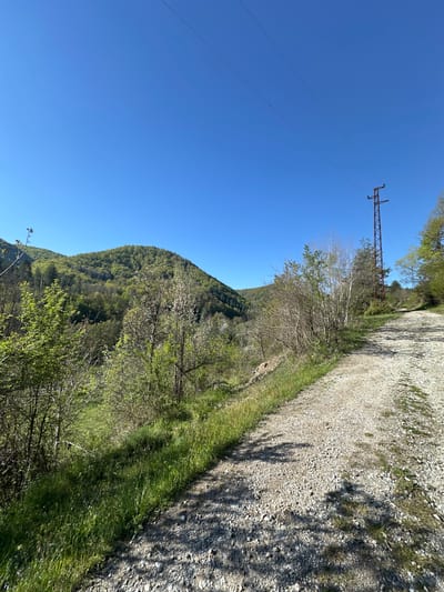The scene is an outdoor view taken near the city of Srednogortsi, Bulgaria. It shows a gravel road running alongside green vegetation and a forested hillside. The sky is clear and blue. An electricity pylon stands adjacent to the road with power lines extending into the distance.
