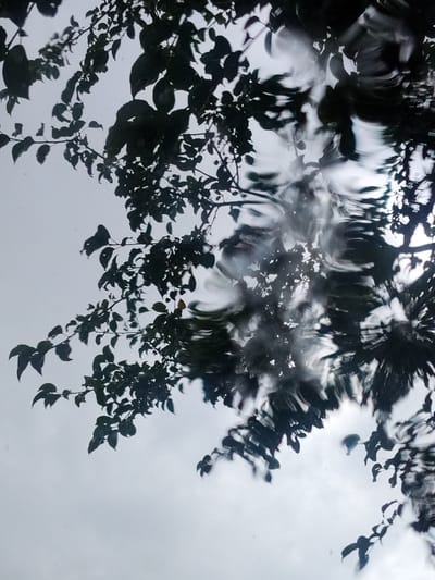 The image depicts a reflection of tree branches and leaves on a disturbed water surface, creating an abstract, rippled pattern. The background is a bright, overcast sky. The scene is a general outdoor environment, not specifically indicative of any urban location, and therefore cannot be identified as being in Hoholeve, Ukraine. There are no people, subjects, objects, actions, or interactions visible in the image. The environment is characterized by the reflection on water and the sky.