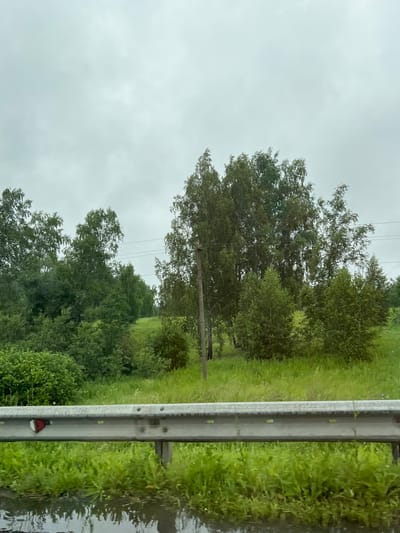 The image depicts a roadside view of lush greenery and trees under a cloudy sky, suggesting an overcast day. A metal guardrail runs horizontally across the foreground, with a red and white reflector attached to its left side. The ground behind the guardrail is covered in vibrant green grass and vegetation, with a line of trees forming a dense backdrop. A utility pole with visible wires stands among the trees, indicating the presence of infrastructure. The reflection of the vegetation and sky is visible on the wet surface in the lower part of the image, implying recent rain or a waterlogged area. The overall scene suggests a natural landscape adjacent to a road, possibly on the outskirts of a populated area like the city of Lesnoy, Russia.