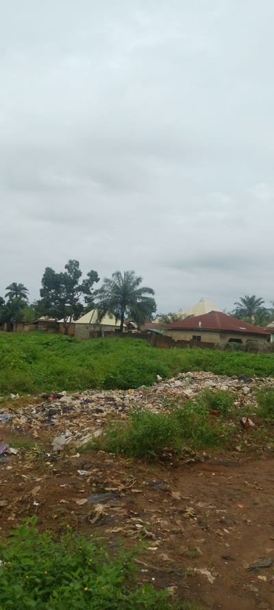 The image depicts an outdoor scene in Baissa, Nigeria, characterized by a cloudy, overcast sky, suggesting it might be daytime but not necessarily bright. In the foreground, there is a significant accumulation of garbage and debris, including plastic bags, wrappers, and other refuse, spread across a patch of dirt and low-lying vegetation. This creates a sense of neglect and disarray.

Behind the trash-strewn area, a patch of vibrant green, overgrown vegetation dominates the mid-ground, partially obscuring the view of the structures beyond. Several houses are visible in the background, appearing to be residential buildings. One house features a reddish-brown roof, while others have lighter-colored roofs, some with angular, modern designs. Palm trees and other leafy trees are interspersed among the buildings, typical of a tropical or sub-tropical environment. The overall scene conveys a rural or semi-urban setting in Nigeria, with a stark contrast between the natural growth and the man-made structures, and the prominent presence of refuse suggesting an issue with waste management. There is no visible text in the image.