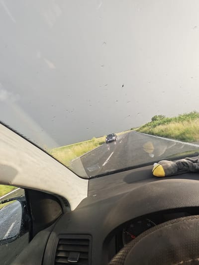 The image shows a view from inside a car driving on a road, likely taken during or just after rainfall, as evidenced by water droplets on the windshield and wet pavement. Another car is approaching in the distance on the same road. The environment surrounding the road consists of grassy fields and some bushes or trees. The sky is overcast and cloudy. The dashboard of the car and a partial view of the steering wheel are visible in the foreground. A stuffed animal is on the dashboard. The location is Bogdanovo, Bulgaria.
