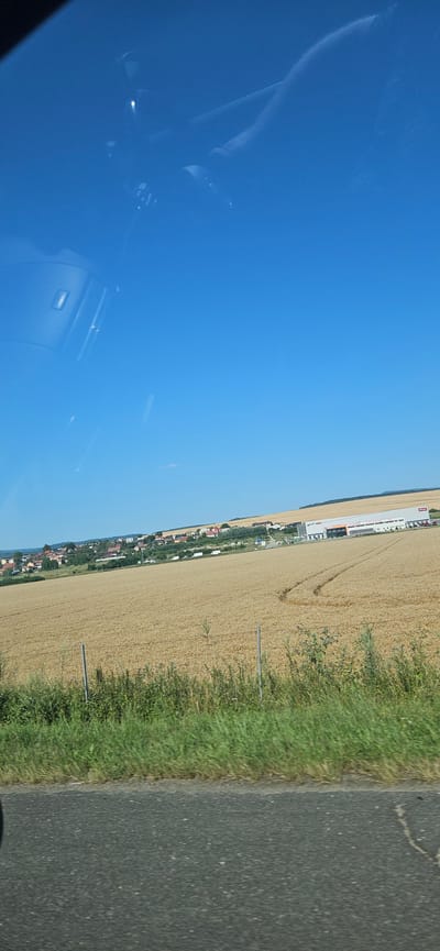 A bright, clear, daytime, medium-distance, slightly angled, exterior shot captures a vast field of golden wheat, likely ripe for harvest, stretching across a gentle slope under a brilliant, cloudless blue sky. In the middle ground, a village of houses with red and brown tiled roofs is nestled on the hillside, surrounded by greenery. Further right, a large, modern, light-colored commercial building with a red logo is visible, possibly a warehouse or retail store. Tire tracks are faintly visible in the wheat field, suggesting recent activity. The foreground features a strip of tall, green grass and a dark asphalt surface, likely a road. Reflections of what appear to be car interior elements, such as a dashboard and perhaps a windshield wiper, are visible in the upper left portion of the image, indicating the photo was taken from inside a vehicle. The environment appears to be rural or on the outskirts of a town, with a tranquil and sunny atmosphere. The location is Ploské, Slovakia.