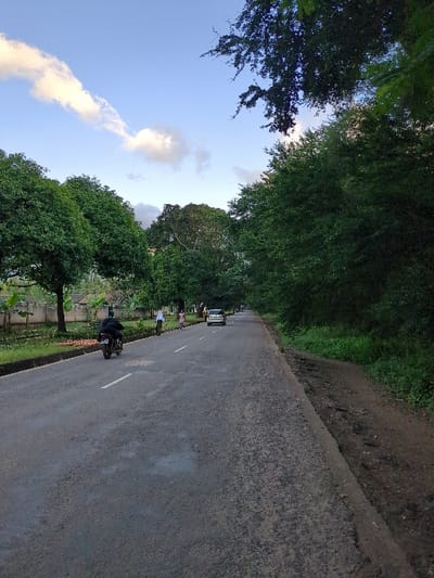 The scene is a paved road in Morogoro, Tanzania, located at the coordinates -6.831 latitude and 37.67 longitude. The road is lined with lush vegetation on both sides, including trees and bushes. There are six individuals walking on the road. One person is riding a motorcycle on the road, and a white car is driving in the distance. The sky is a clear blue with white clouds.