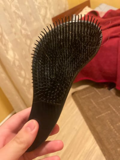 A hand holds a black hairbrush. The hairbrush is black with many short, stiff bristles. Some light-colored hairs are caught in the bristles. The background is out of focus and shows a red blanket or bedspread, a beige curtain, and a wooden floor with a patterned rug. There is no indication of the location being in Afanasyevo, Russia.