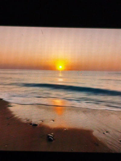 The image shows a beach at sunset. The sun is centered on the horizon, reflecting on the calm water. The foreground is the wet sand of the beach with scattered pebbles. The sky is a gradient of orange and yellow.
There is no indication of Devin, Bulgaria.