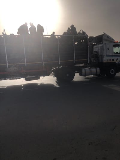 A truck with a full load of brush is visible. The truck has a large cage on its bed for the brush, with what appears to be "UNION" and a partial word beneath it visible on the side. The cab of the truck is mostly white with "DAF" labeled in black and red markings and an image of a stick figure. The day is hazy with a bright light shining in the background. The truck is parked on a black asphalt surface.