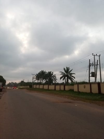 A road leads into the distance under a cloudy sky. A red vehicle approaches in the distance. On the right, a low wall runs parallel to the road, intermittently lined with palm trees. Utility poles and power lines are visible along the roadside. Vegetation can be seen behind the wall, adding a touch of greenery to the scene. The asphalt road occupies most of the foreground.