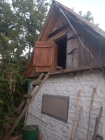 This is a medium shot, eye-level outdoor photograph of an old, wooden structure situated in a rural setting. The structure appears to be a shed or a small outbuilding, possibly an attic addition to a larger building. It has a steeply pitched, dark wooden roof and walls made of weathered, vertical planks. A small, open doorway with wooden shutters is visible on the upper part of the structure. A makeshift wooden ladder leans against the left side of the building, leading up towards the doorway. The lower part of the structure is a white-painted wall with a textured, embossed pattern of diamond shapes containing eye-like motifs. A rectangular panel, possibly a window or a covered opening, is set into this wall.
To the left of the building, dense green foliage from trees and bushes creates a natural backdrop. To the right, several long, slender wooden poles or sticks are leaning against the white wall. In the foreground on the left, a dark green cylindrical object, possibly a barrel or a storage container, is partially visible.
The lighting suggests it is daytime, likely late afternoon or early evening given the soft light and overcast sky visible at the top of the frame. The overall impression is one of age and disuse, with a rustic and somewhat neglected appearance. The scene is likely located in Skotuvate, Ukraine, a rural area that would fit the depicted environment. No people or explicit activities are visible, but the presence of the ladder and the outbuilding suggests potential for storage or manual work. There is no visible text in the image.