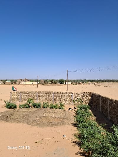 The image shows a dirt field with a tall, woven fence made of reeds and a small green Sudanese flag in the bottom left corner. The fence runs along the edge of the field, which is mostly sand. There is a small dirt patch next to the fence. The fence is separating the field from the town. The town is visible in the background, and a few trees are scattered throughout the area. The sky is clear and blue. The photo was taken in Karima, Sudan, at latitude: 18.54, longitude: 31.831.