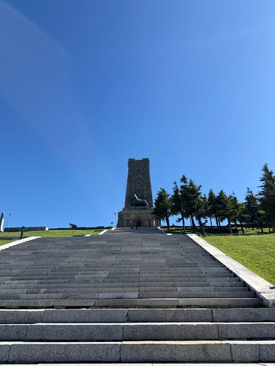 The image depicts the Monument of Freedom on St. Nicholas Peak in Shipka, Bulgaria, under a clear blue sky. A wide, grand stone staircase leads up towards the monument. The monument itself is a tall, stone structure, appearing to be a tower with battlements, topped by a large sculpture of a lion. To the right of the monument, a line of tall, slender coniferous trees stands on a grassy hill. The area around the monument and the hill is covered in vibrant green grass. In the distance, on the left side of the frame, a historical cannon is visible, hinting at the historical significance of the location. The foreground is dominated by the stone steps, some of which show signs of wear. There are very few people visible in the image, with only two individuals discernable on the right side near the base of the monument. The overall scene conveys a sense of historical grandeur and a peaceful, expansive outdoor environment.
