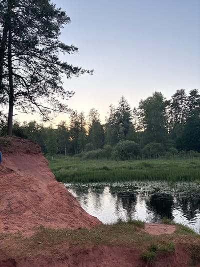 In Batovo, Russia, an image captures a serene natural landscape. In the foreground, a steep, red clay embankment slopes downwards towards a calm body of water. The embankment is partially covered with sparse green grass. A tall pine tree with dark green needles stands on the left side of the embankment, its branches reaching towards the pale, clear sky.
Beyond the embankment, a lush green marshy area lines the water's edge. The water itself is reflective, mirroring the dark silhouettes of the trees that form a dense forest on the opposite bank. These trees, a mix of evergreens and deciduous varieties, create a dark, verdant backdrop against the soft hues of the twilight sky, which transitions from a pale yellow near the horizon to a light blue overhead. The overall impression is one of tranquil, untouched nature during the late evening. No people or animals are visible in the frame.