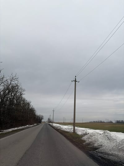 The image displays a rural asphalt road in Bessergenovka, Russia, extending into the distance under a uniformly overcast grey sky. On the left side, a dense, linear grouping of leafless deciduous trees and shrubs forms a dark barrier along the roadside. Patches of dirty snow and exposed earth are visible on the ground beneath these trees. On the right side of the road, a wide, open field is partially covered with large, irregular mounds of dirty, melting snow. Beyond the snow, the field exhibits areas of green vegetation and dark soil. A series of concrete utility poles, each fitted with insulators and supporting multiple overhead electrical wires, runs parallel to the road on the right, receding into the far distance. No individuals, vehicles, or active subjects are present in the scene. The overall environment suggests a late winter or early spring season due to the bare trees and residual snow cover.